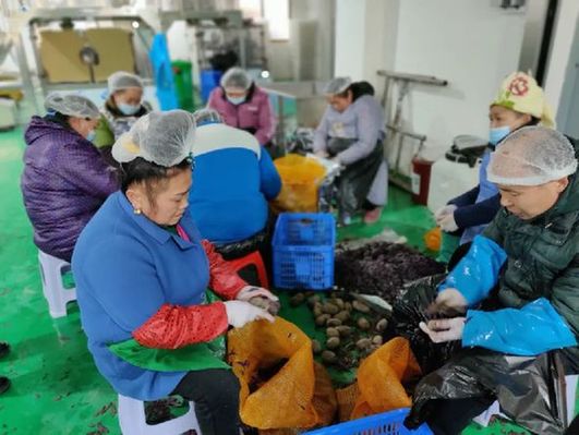 台江县方召镇 打造“全产业链”发展模式助民增收 电商运营