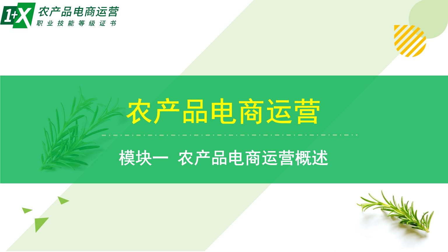 《农产品电商运营教学课件2》解析与要点梳理