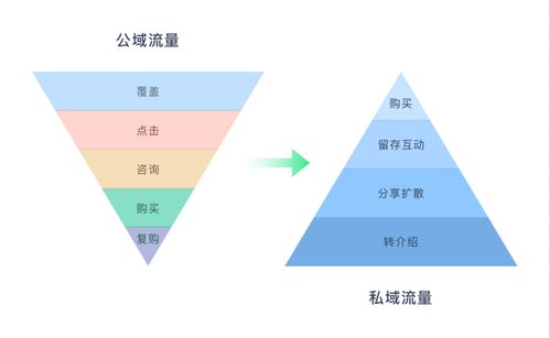 挖掘视商蓝海 莱视go新版本上线，玩转私域流量变现的电商新纪元